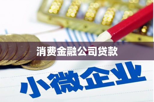 玉井消费金融公司贷款