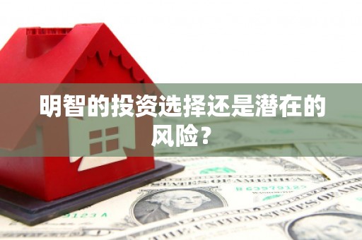 玉井明智的投资选择还是潜在的风险？