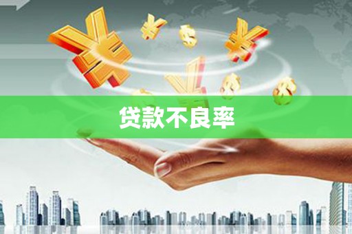 玉井贷款不良率