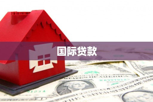 玉井国际贷款