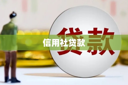 玉井信用社贷款