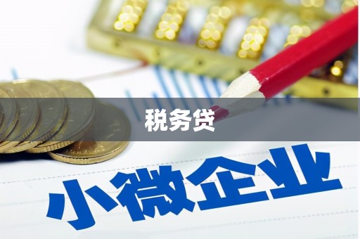 玉井税务贷