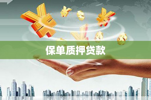 玉井保单质押贷款
