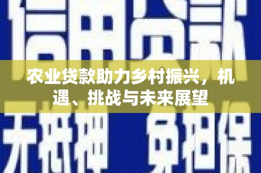 玉井农业贷款助力乡村振兴，机遇、挑战与未来展望