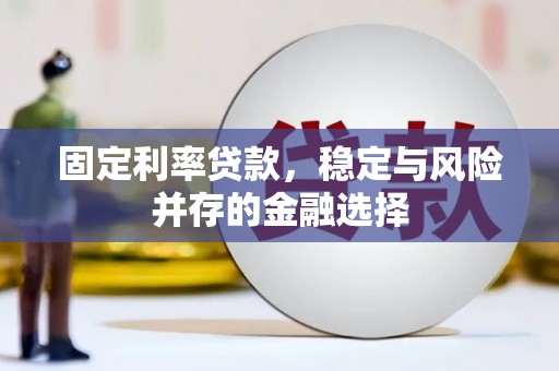 玉井固定利率贷款，稳定与风险并存的金融选择