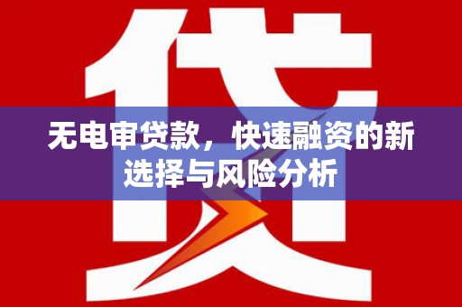 玉井无电审贷款，快速融资的新选择与风险分析
