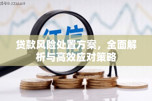 玉井贷款风险处置方案，全面解析与高效应对策略