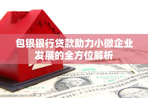 玉井包银银行贷款助力小微企业发展的全方位解析