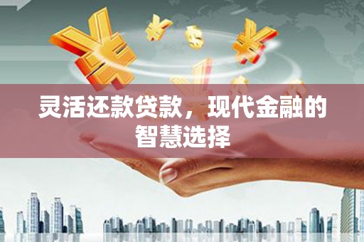 玉井灵活还款贷款，现代金融的智慧选择