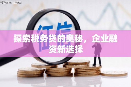 玉井探索税务贷的奥秘，企业融资新选择