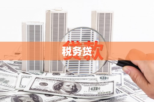 玉井税务贷