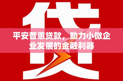 玉井平安普惠贷款，助力小微企业发展的金融利器