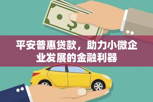 玉井平安普惠贷款，助力小微企业发展的金融利器