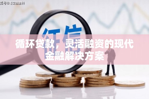 玉井循环贷款，灵活融资的现代金融解决方案