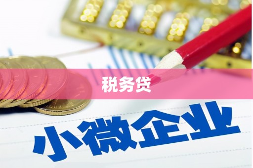 玉井税务贷