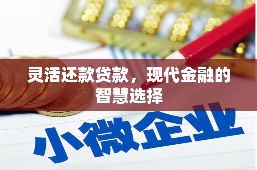 玉井灵活还款贷款，现代金融的智慧选择
