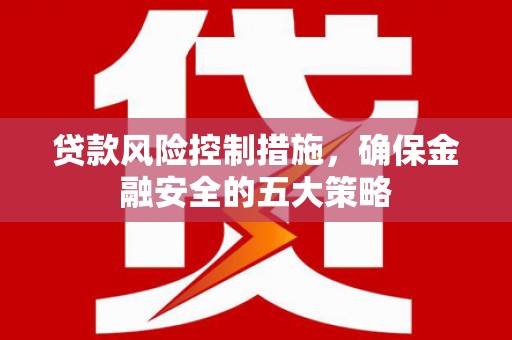 玉井贷款风险控制措施，确保金融安全的五大策略