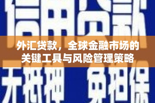 玉井外汇贷款，全球金融市场的关键工具与风险管理策略