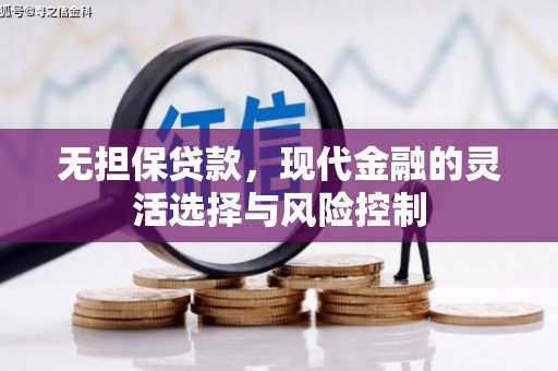 玉井无担保贷款，现代金融的灵活选择与风险控制