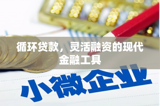 玉井循环贷款，灵活融资的现代金融工具