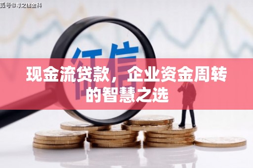 玉井现金流贷款，企业资金周转的智慧之选