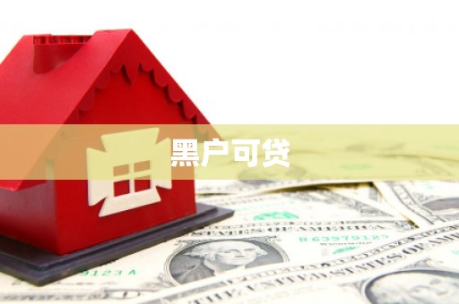 玉井黑户可贷