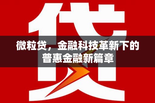玉井微粒贷，金融科技革新下的普惠金融新篇章