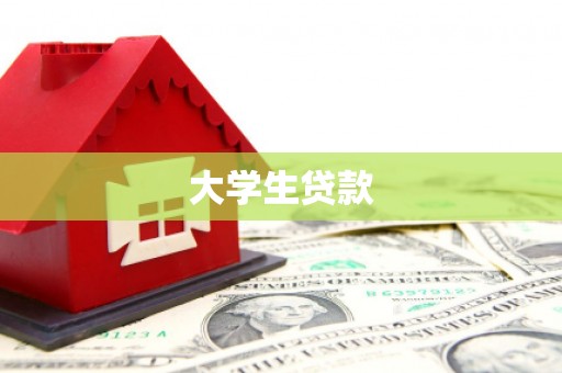 玉井大学生贷款