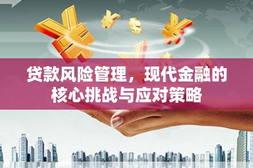 玉井贷款风险管理，现代金融的核心挑战与应对策略