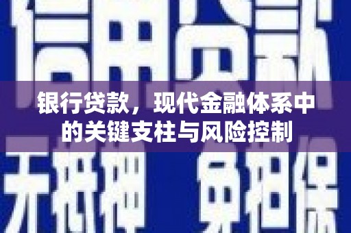 玉井银行贷款，现代金融体系中的关键支柱与风险控制