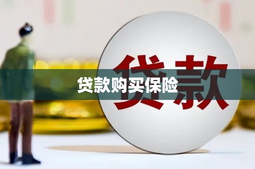 玉井贷款购买保险