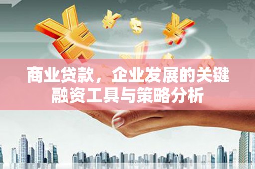 玉井商业贷款，企业发展的关键融资工具与策略分析