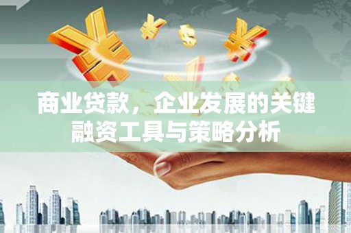 玉井商业贷款，企业发展的关键融资工具与策略分析