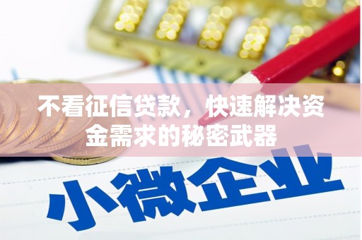 玉井不看征信贷款，快速解决资金需求的秘密武器