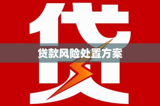 玉井贷款风险处置方案