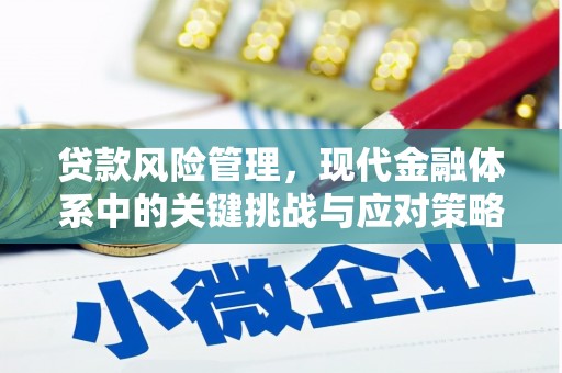 玉井贷款风险管理，现代金融体系中的关键挑战与应对策略