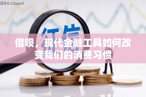 玉井借呗，现代金融工具如何改变我们的消费习惯