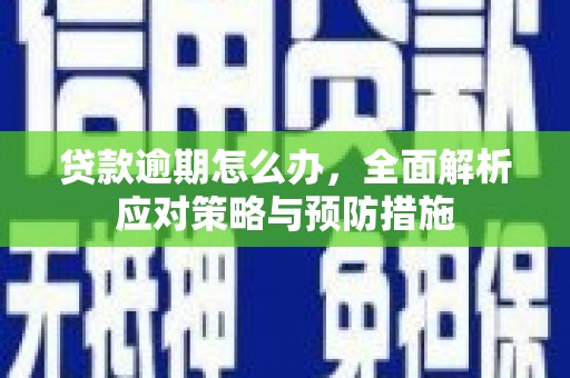 玉井贷款逾期怎么办，全面解析应对策略与预防措施