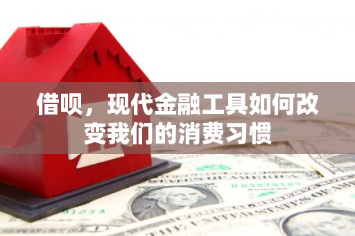 玉井借呗，现代金融工具如何改变我们的消费习惯