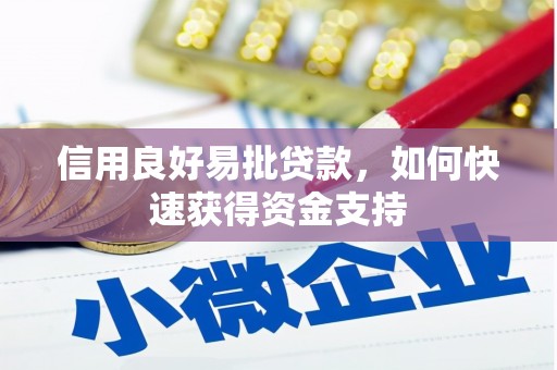 玉井信用良好易批贷款，如何快速获得资金支持
