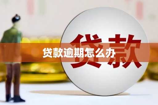玉井贷款逾期怎么办