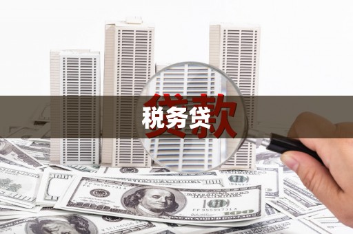 玉井税务贷