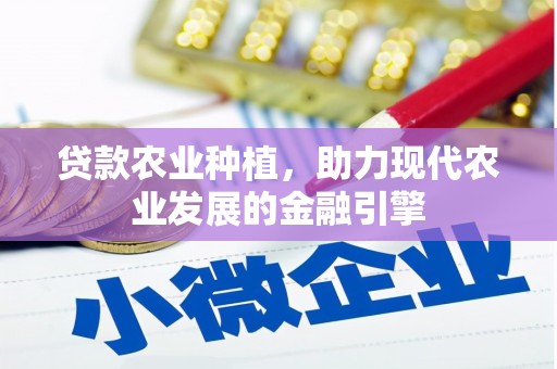 玉井贷款农业种植，助力现代农业发展的金融引擎