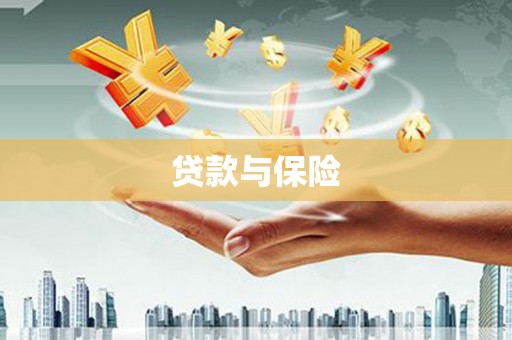 玉井贷款与保险