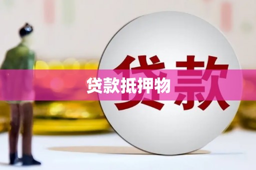 玉井贷款抵押物