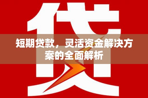 玉井短期贷款，灵活资金解决方案的全面解析