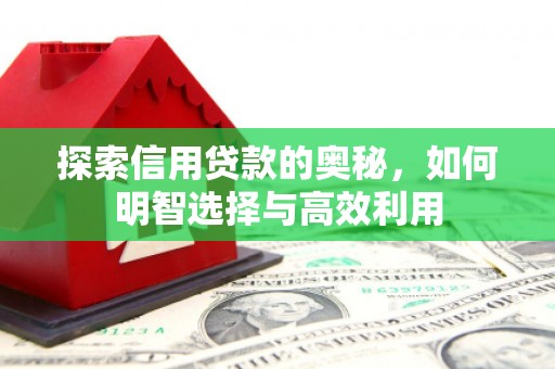 玉井探索信用贷款的奥秘，如何明智选择与高效利用