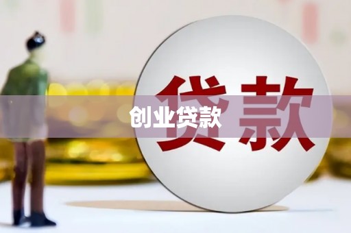 玉井创业贷款