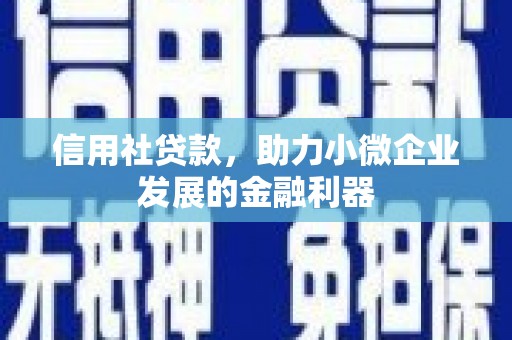 玉井信用社贷款，助力小微企业发展的金融利器