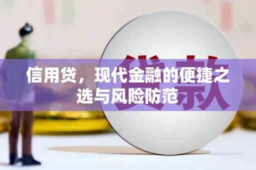 玉井信用贷，现代金融的便捷之选与风险防范